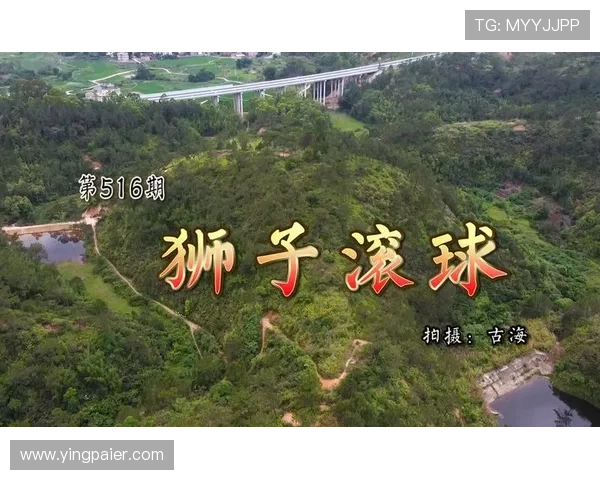 问鼎娱乐滚球:深入探讨滚球投注中的热点策略与风险控制技巧 问鼎娱乐滚球:深入探讨滚球投注中的热点策略与风险控制技巧